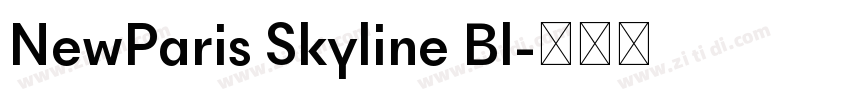 NewParis Skyline Bl字体转换
